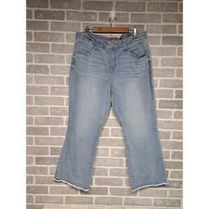 Democracy AB Technology  Womens Blue Straight Leg Jeans Casual Plus Size 20W